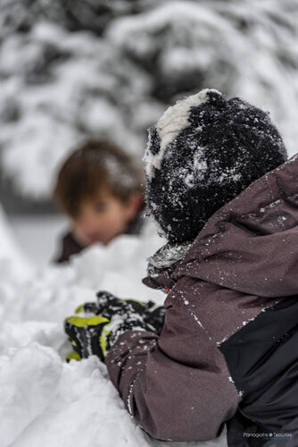 Zeriki 29/12/2019
