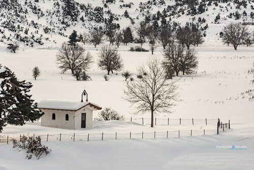 Zeriki 09/01/2020