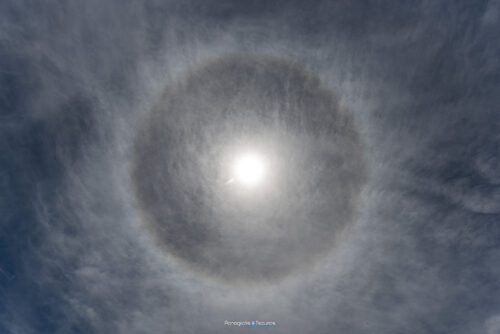 Arkitsa 05/06/2020