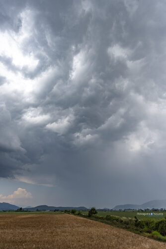 Kopaida 08/06/2021