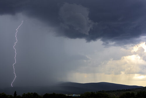 Anthochori 17/06/2021