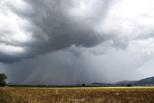 Kopaida 08/06/2021