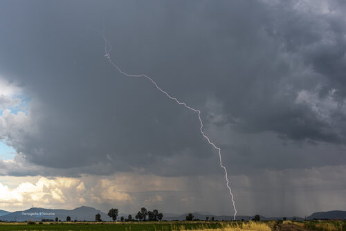 Kopaida 11/06/2021