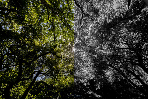 Ioannina 03/08/2021