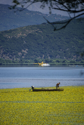 Ioannina 07/08/2021