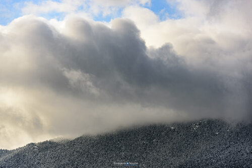 Zeriki 04/03/2022