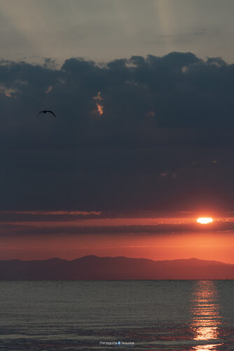 Paralia Katerinis 03/08/2022