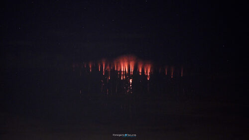 Kalami 08/06/2023
