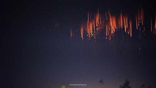 20.11.2025.22.52_C0005_031239.399_124_sprite_stacked copy